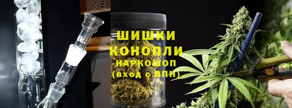 гашик Касимов