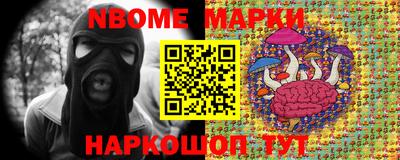 СК Кандалакша