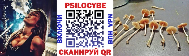 MEGA зеркало  это наркотические препараты  Галлюциногенные грибы прущие грибы  Дюртюли 