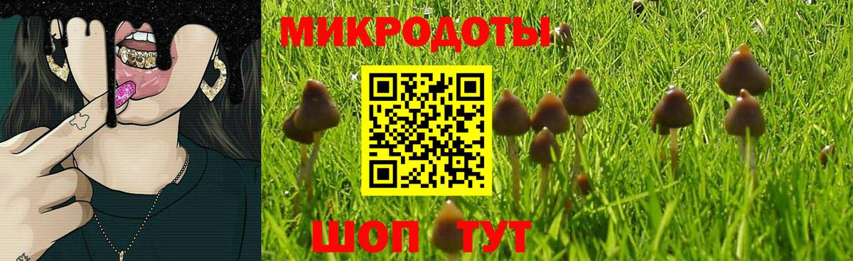 Галлюциногенные грибы Psilocybine cubensis  купить  цена  Дюртюли  Вход с VPN 