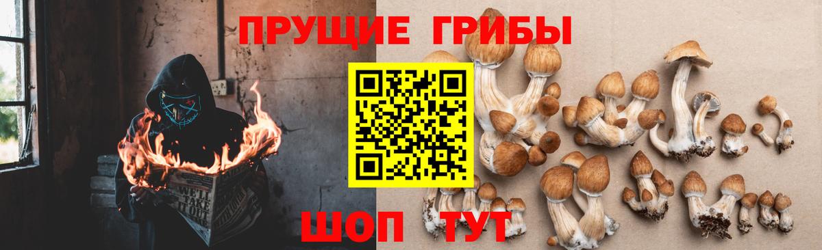 Псилоцибиновые грибы ЛСД Дюртюли